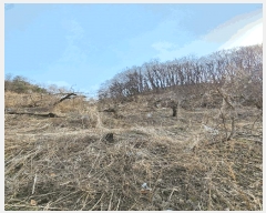  2025Ÿ��30379  �������