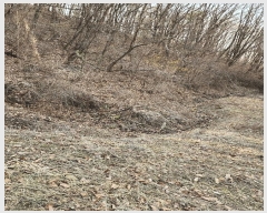  2025Ÿ��30379  �������