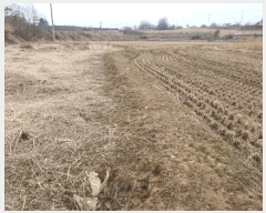  2025Ÿ��30393 ��� ������ ��Ҹ� �̰ 13      ����(��1)���