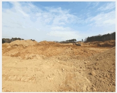  2025Ÿ��30393 ��� ������ ��Ҹ� �̰ 13      ����(��1)���