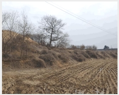  2025Ÿ��30393 ��� ������ ��Ҹ� �̰ 13      ����(��1)���