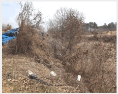  2025Ÿ��30393 ��� ������ ��Ҹ� �̰ 13      ����(��1)���