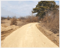  2025Ÿ��30393 ��� ������ ��Ҹ� �̰ 13      ����(��1)���