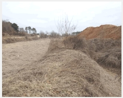  2025Ÿ��30393 ��� ������ ��Ҹ� �̰ 13      ����(��1)���