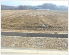  2025Ÿ��30398 ��� ������ ������ ���渮 263      ����(��)���