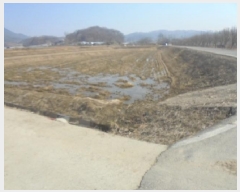  2025Ÿ��30398 ��� ������ ������ ���渮 263      ����(��)���