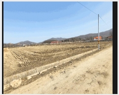  2025Ÿ��30398 ��� ������ ������ ���渮 263      ����(��)���