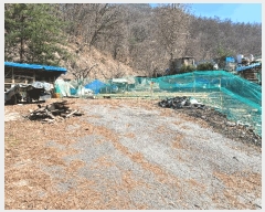  2025Ÿ��30416 ��� ���ֽ� ��ź�� 876       ����(��1)���