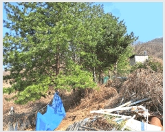  2025Ÿ��30416 ��� ���ֽ� ��ź�� 876       ����(��1)���