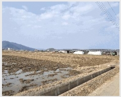  2025Ÿ��30452 ��� ���ֽ� �߾�ž�� ž�� 322-1      ����(��)���