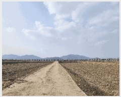  2025Ÿ��30452 ��� ���ֽ� �߾�ž�� ž�� 322-1      ����(��)���