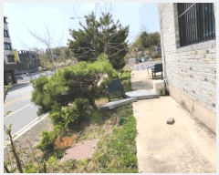  2025Ÿ��30461 ��� ���ֽ� ��ҿ��� ���� 715      ���ð��