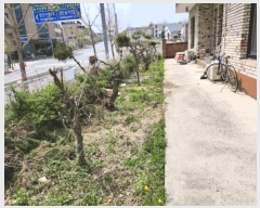  2025Ÿ��30461 ��� ���ֽ� ��ҿ��� ���� 715      ���ð��