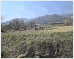  2025Ÿ��30464  ����