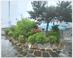  2025Ÿ��30474  ���ð��