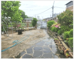  2025Ÿ��30474  ���ð��