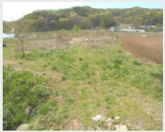  2025Ÿ��30480  ����