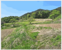  2025Ÿ��30506 ��� ���ֽ� ��ô�� �۰��� 1819-3      ����(��)���