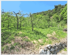  2025Ÿ��30506 ��� ���ֽ� ��ô�� �۰��� 1819-3      ����(��)���