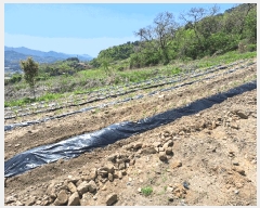  2025Ÿ��30506 ��� ���ֽ� ��ô�� �۰��� 1819-3      ����(��)���