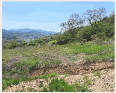  2025Ÿ��30506 ��� ���ֽ� ��ô�� �۰��� 1819-3      ����(��)���