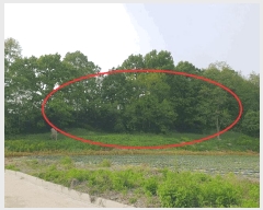  2025Ÿ��30510 ��� ���ֽ� �߾�ž�� ��õ�� 709      ����(�Ӿ�)���