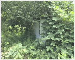  2025Ÿ��30510 ��� ���ֽ� �߾�ž�� ��õ�� 709      ����(�Ӿ�)���