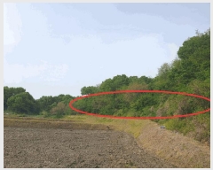  2025Ÿ��30510 ��� ���ֽ� �߾�ž�� ��õ�� 709      ����(�Ӿ�)���