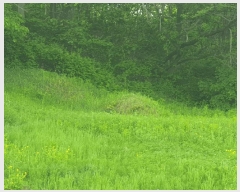  2025Ÿ��30510 ��� ���ֽ� �߾�ž�� ��õ�� 709      ����(�Ӿ�)���