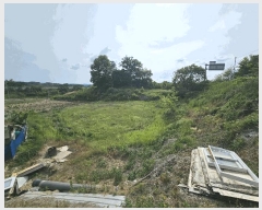  2025Ÿ��30550 ��� ���ֽ� �ݰ��� �Ẵ�� 589      ����(��1)���