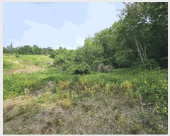  2025Ÿ��30550 ��� ���ֽ� �ݰ��� �Ẵ�� 589      ����(��1)���