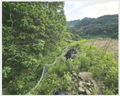  2025Ÿ��30550 ��� ���ֽ� �ݰ��� �Ẵ�� 589      ����(��1)���