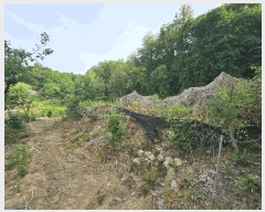  2025Ÿ��30550 ��� ���ֽ� �ݰ��� �Ẵ�� 589      ����(��1)���