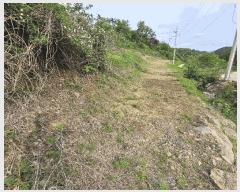  2025Ÿ��30550 ��� ���ֽ� �ݰ��� �Ẵ�� 589      ����(��1)���