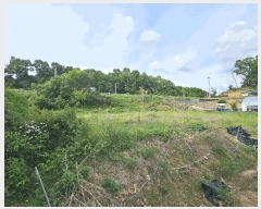  2025Ÿ��30550 ��� ���ֽ� �ݰ��� �Ẵ�� 589      ����(��1)���