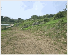  2025Ÿ��30550 ��� ���ֽ� �ݰ��� �Ẵ�� 589      ����(��1)���