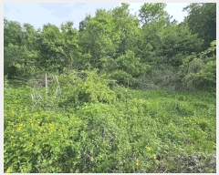  2025Ÿ��30550 ��� ���ֽ� �ݰ��� �Ẵ�� 589      ����(��1)���