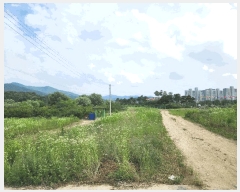  2025Ÿ��30574 ��� ������ ������ �� 935-1  5��506ȣ    �ټ���,������