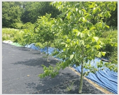  2025Ÿ��30579  �ٸ����ð��