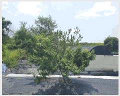  2025Ÿ��30579  �ٸ����ð��