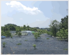  2025Ÿ��30579  �ٸ����ð��