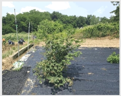  2025Ÿ��30579  �����