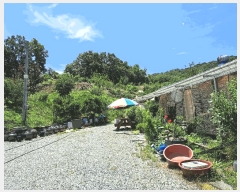  2025Ÿ��30592 ��� ���ֽ� �ִ��� �ž縮 695      ����(��1)���