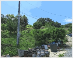  2025Ÿ��30592 ��� ���ֽ� �ִ��� �ž縮 695      ����(��1)���