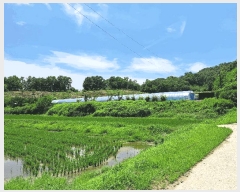  2025Ÿ��30592 ��� ���ֽ� �ִ��� �ž縮 695      ����(��1)���