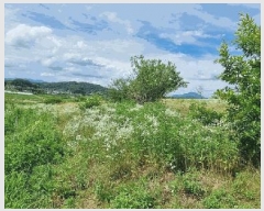  2025Ÿ��30609 ��� ���ֽ� �ݰ��� ��ϸ� 154-1      ����(��1)���