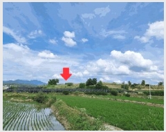  2025Ÿ��30609 ��� ���ֽ� �ݰ��� ��ϸ� 154-1      ����(��1)���