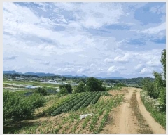  2025Ÿ��30609 ��� ���ֽ� �ݰ��� ��ϸ� 154-1      ����(��1)���