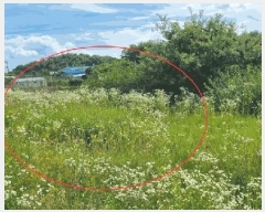  2025Ÿ��30609 ��� ���ֽ� �ݰ��� ��ϸ� 154-1      ����(��1)���