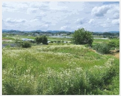  2025Ÿ��30609 ��� ���ֽ� �ݰ��� ��ϸ� 154-1      ����(��1)���